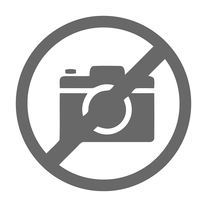 TKSTAR LOGO